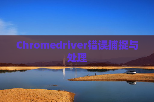 Chromedriver错误捕捉与处理